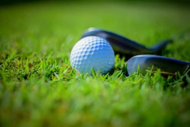 Yeşil çimlerin üzerinde golf topu.