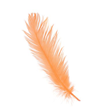 beyaz izole yumuşak tüylü kuş tüyü