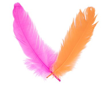 beyaz izole yumuşak tüylü kuş tüyü