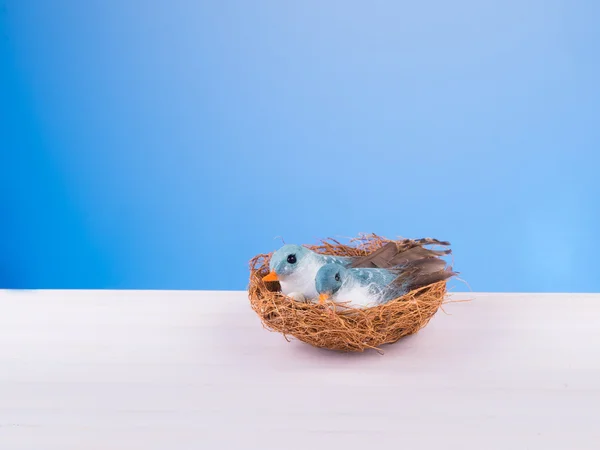 जाळी मध्ये सुंदर कपल प्रेम पक्षी — स्टॉक फोटो, इमेज