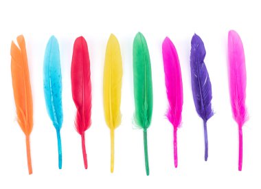 beyaz izole yumuşak tüylü kuş tüyü