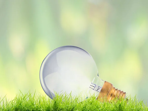 High power edison light bulb on nature background — Stock Photo, Image