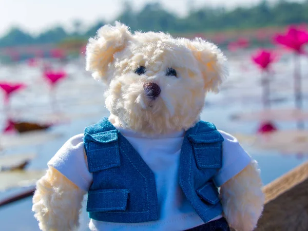 Teddybeer pop zit van rode lotus — Stockfoto