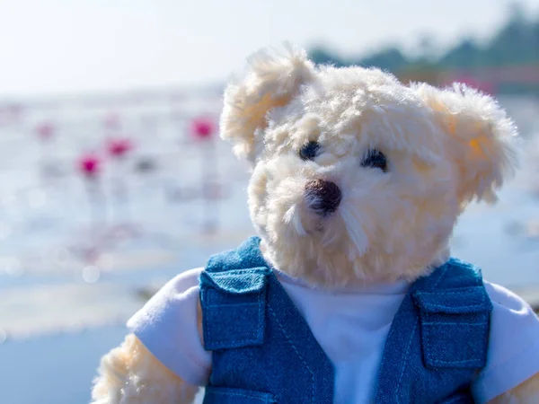 Teddybeer pop zit van rode lotus — Stockfoto