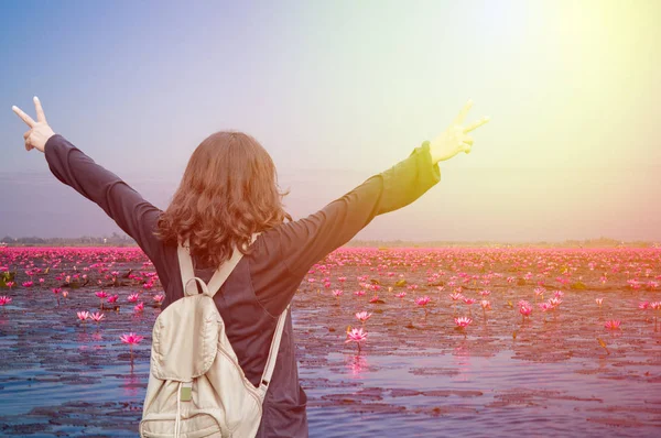 Rode lotus bloeien op het watervlak van het meer — Stockfoto