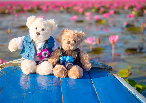 Teddybeer pop zit van rode lotus — Stockfoto