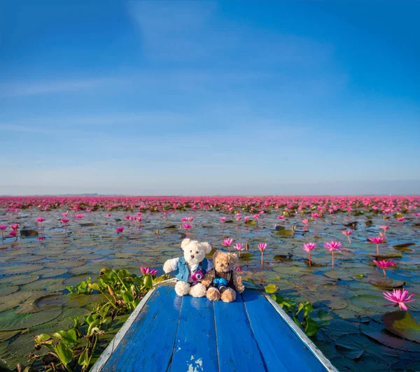 泰迪熊娃娃坐在红色的莲花 — 图库照片