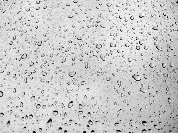 Nära upp skott på droppar av regn — Stockfoto