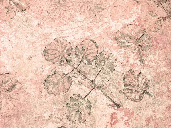 Liść drzewo tropikalne rośliny w drukowanych na powierzchni betonu — Zdjęcie stockowe