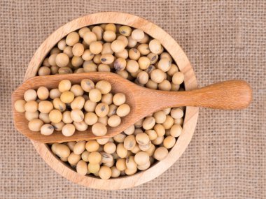 atış fasulye Studio ahşap kase Tarihinde yaratılmıştır