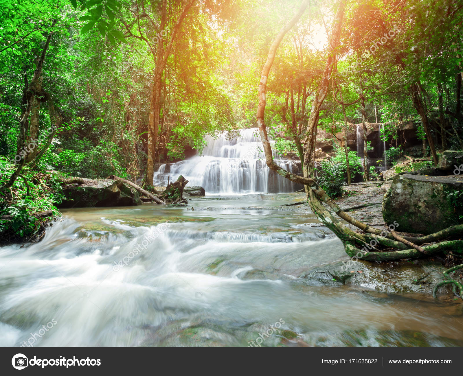 Paysage de jungle  avec cascade  merveilleuse image libre de 