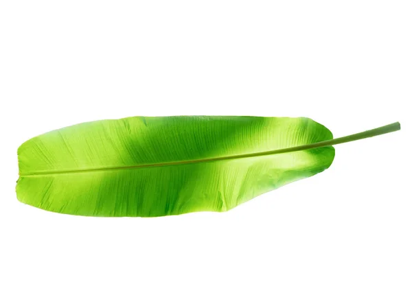 Bananenblatt mit tropischer Pflanze, Urlaub und Entspannung — Stockfoto