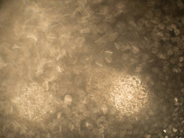 arka plan su yüzeyi ile dolu damla damla