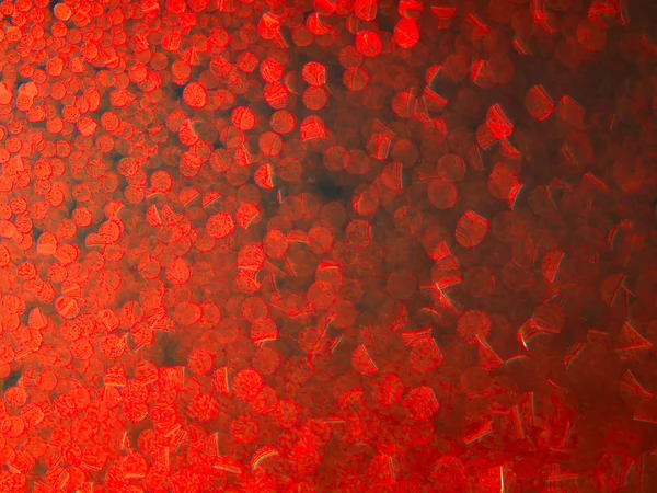 Fondo abstracto gotas de agua en la superficie con lleno de gotitas —  Fotos de Stock