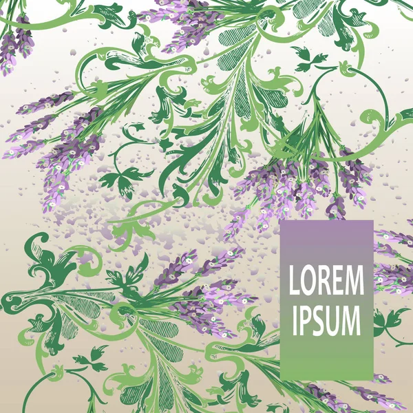 Design de couverture motif floral lavande. Fleur baroque dessinée à la main . — Image vectorielle