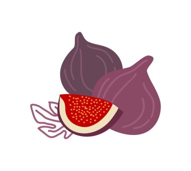 Üç ayrı incir renkli vektör çizimi. İki kim?