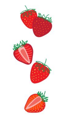 İzole Strawberrys, renkli vektör çizimi. Düşen ve dilimlenmiş taze çilek. Beyaz arka planda izole edilmiş.