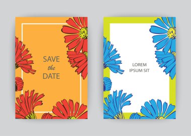 Elle çizilmiş kasımpatı çiçeği sanatsal tasviri. Botanik düğün süsü. Kırmızı ve maviye boyanmış taç yaprakları. Çiçek desenli dekoratif tebrik kartı davet arkaplanı