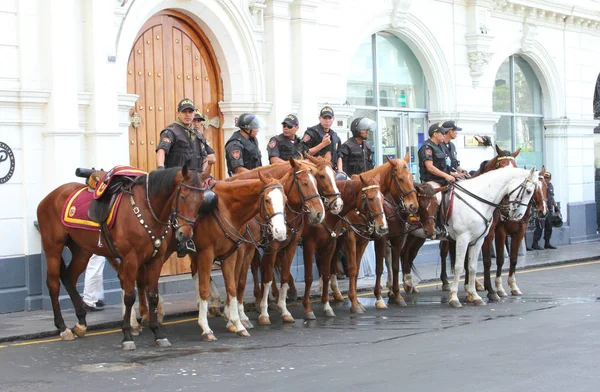 在秘鲁的马背上的警察 图库图片
