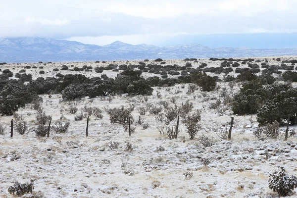 雪在高沙漠 Santa Fe, 新墨西哥 免版税图库照片