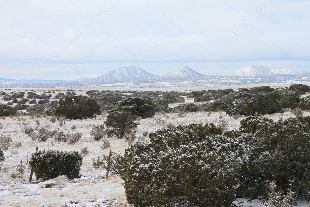 Snowy Landscape in Santa Fe, New Mexico with Junipers
