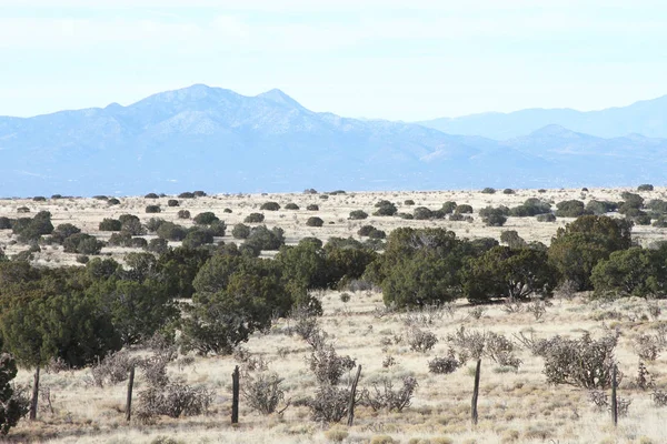 New Mexico High Desert with Mountain Range — Stock Photo, Image