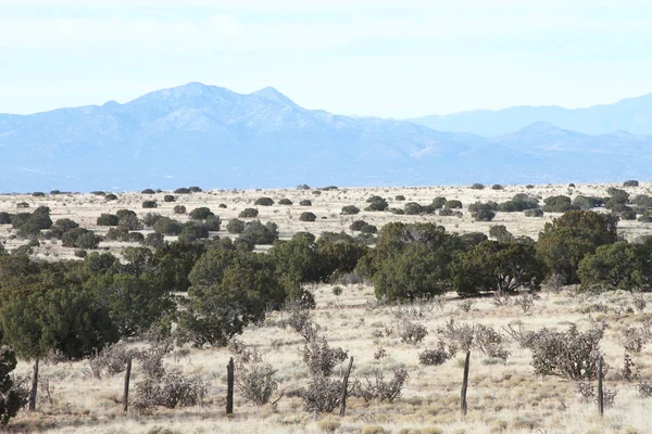 Nové Mexiko vysoké Desert s pohoří Stock Fotografie