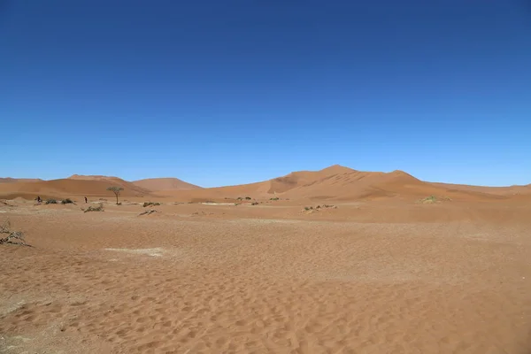 As dunas vermelhas em torno de Sossusvlei, Namíbia — Fotografia de Stock