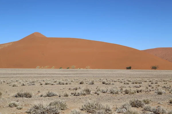 Červené duny kolem Sossusvlei, Namibie — Stock fotografie