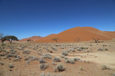 Sossusvlei, Namibya çevresindeki kırmızı kumullar
