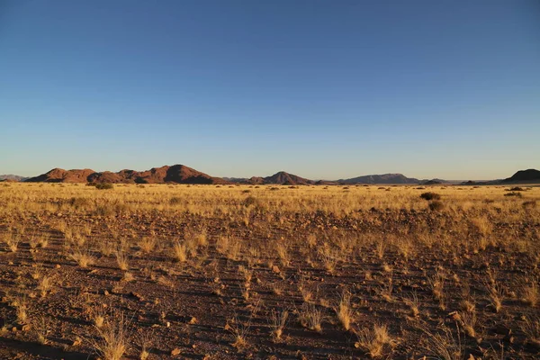Закат в пустыне Намибия — стоковое фото