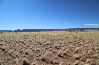 Namibya, Aus 'tan Sossusvlei' ye giden yolda manzara.