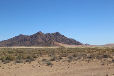 Namibya, Aus 'tan Sossusvlei' ye giden yolda manzara.