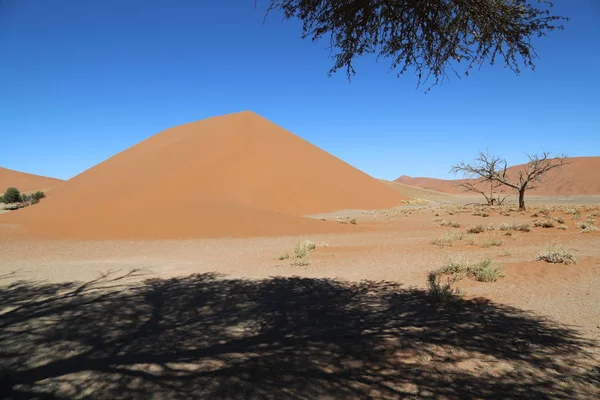 Sossusvlei, Namibya çevresindeki kırmızı kumullar — Stok fotoğraf