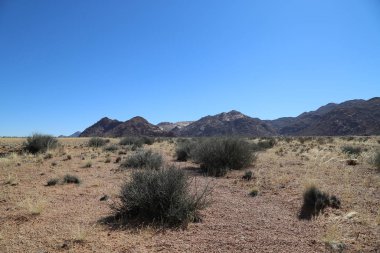 Namibya, Aus 'tan Sossusvlei' ye giden yolda manzara.