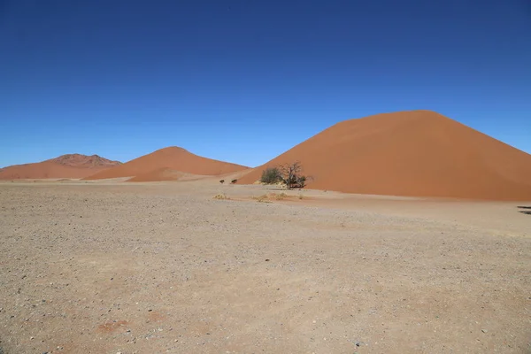Die roten dünen um sossusvlei, namibia — Stockfoto