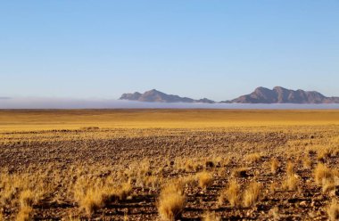 Sossusvlei, Namibya çevresindeki kırmızı kumullar