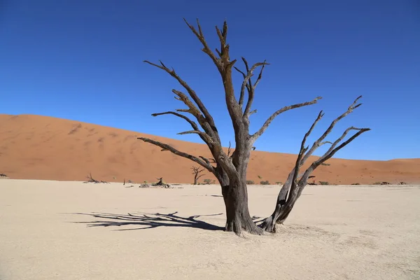 Le dune rosse intorno a Sossusvlei, Namibia — Foto Stock