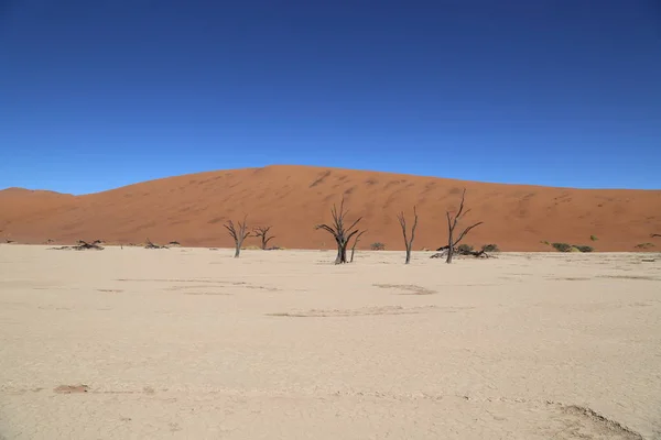 Sossusvlei, Namibya çevresindeki kırmızı kumullar — Stok fotoğraf