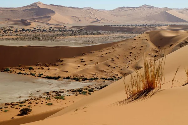 Czerwone wydmy wokół Sossusvlei, Namibia — Zdjęcie stockowe