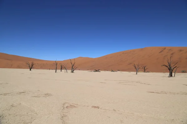 Sossusvlei, Namibya çevresindeki kırmızı kumullar — Stok fotoğraf