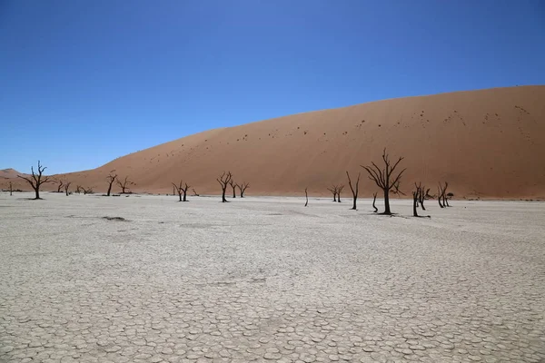 Οι κόκκινοι αμμόλοφοι γύρω από το Sossusvlei, Ναμίμπια — Φωτογραφία Αρχείου