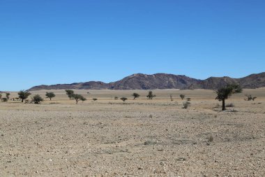 Sesriem ve Swakopmund, Namibya arasındaki yolda manzaralar