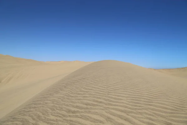 Swakopmund, Spectacular sand dunes on the ocean — ストック写真