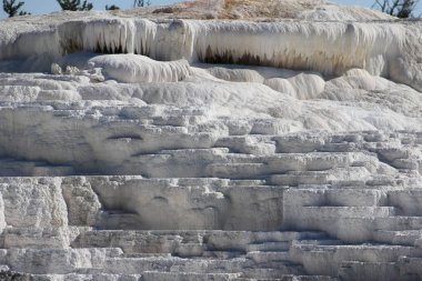 Yellowstone, Mamut Sıcak Bahar 'ın muhteşem kireçtaşı heykelleri.