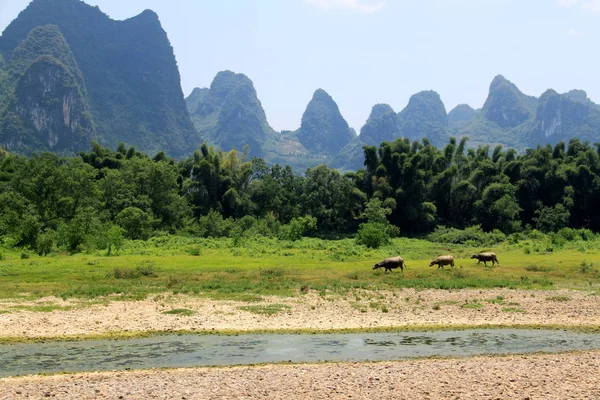 Guilin, las montañas de piedra caliza vistas desde el río Li — Foto de Stock