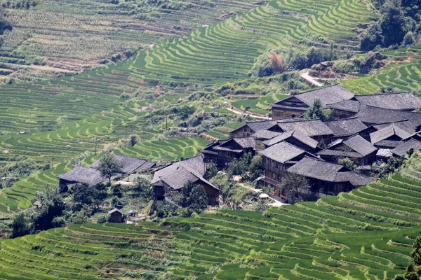 The extraordinary landscape of Longji rice fields — Stock Photo, Image