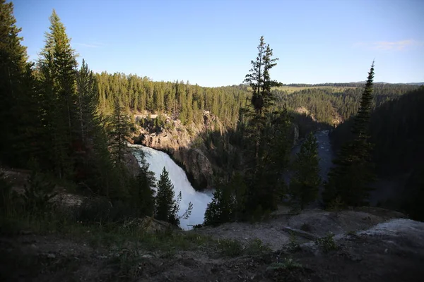 El Gran Cañón del Parque Nacional Yellowstone —  Fotos de Stock