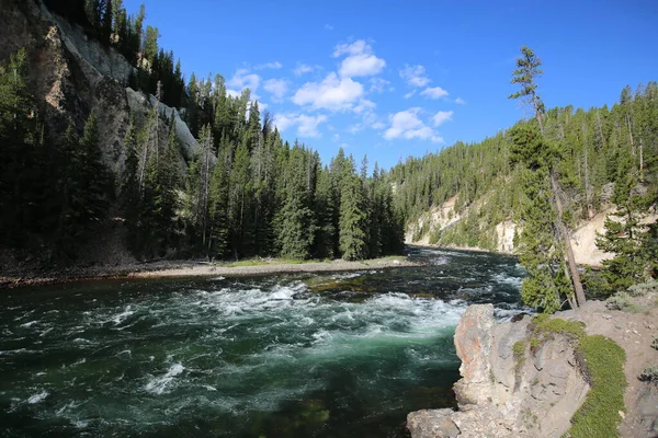 A Grand Canyon Yellowstone Nemzeti Park — Stock Fotó