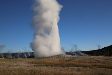 Eski sadık Şofben, Yellowstone Milli Parkı
